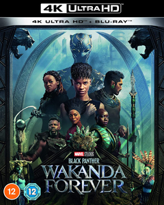 Black Panther Wakanda Forever